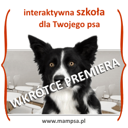 szko�a dla ps�w