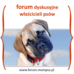 forum dyskusyjne o psach