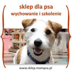 sklep dla ps�w